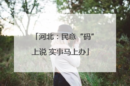 河北：民意“码”上说 实事马上办