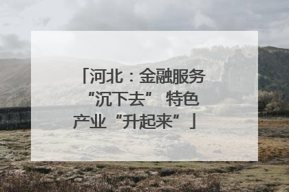 河北：金融服务“沉下去” 特色产业“升起来”