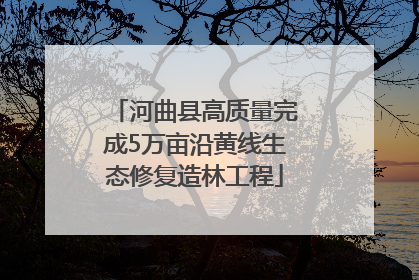河曲县高质量完成5万亩沿黄线生态修复造林工程