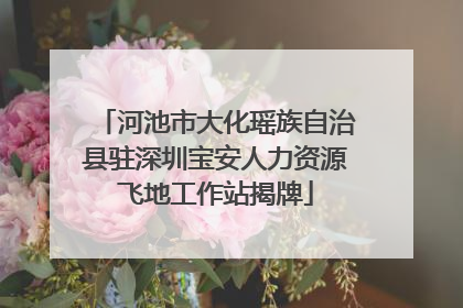河池市大化瑶族自治县驻深圳宝安人力资源飞地工作站揭牌