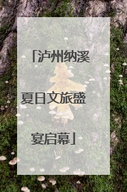 泸州纳溪夏日文旅盛宴启幕