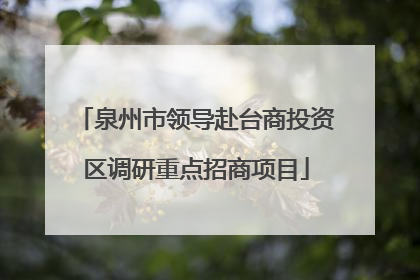 泉州市领导赴台商投资区调研重点招商项目