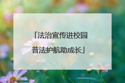 法治宣传进校园 普法护航助成长