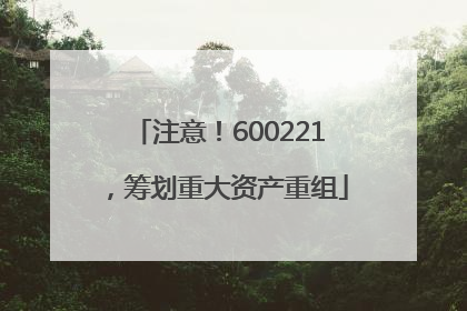注意！600221，筹划重大资产重组