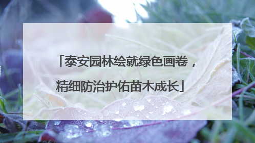 泰安园林绘就绿色画卷，精细防治护佑苗木成长