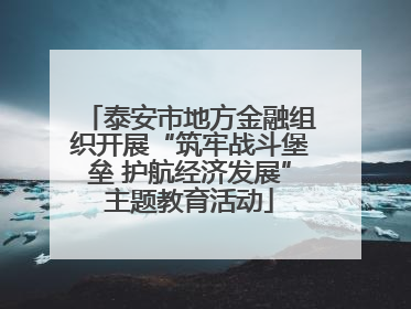 泰安市地方金融组织开展“筑牢战斗堡垒 护航经济发展”主题教育活动
