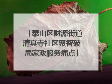 泰山区财源街道清真寺社区聚智破局家政服务痛点