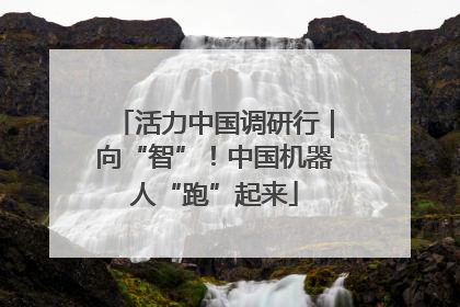 活力中国调研行｜向“智”！中国机器人“跑”起来