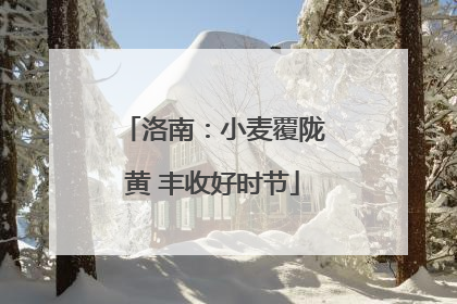 洛南：小麦覆陇黄 丰收好时节