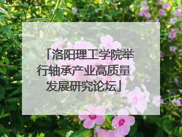 洛阳理工学院举行轴承产业高质量发展研究论坛
