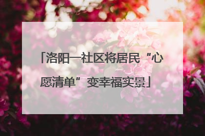 洛阳一社区将居民“心愿清单”变幸福实景