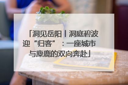 洞见岳阳丨洞庭碧波迎“归客”：一座城市与麋鹿的双向奔赴