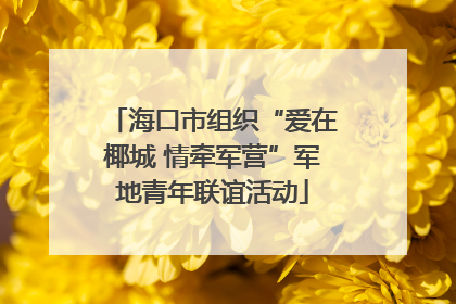 海口市组织“爱在椰城 情牵军营”军地青年联谊活动