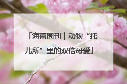 海南周刊｜动物“托儿所”里的双倍母爱