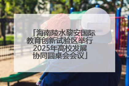 海南陵水黎安国际教育创新试验区举行2025年高校发展协同圆桌会会议