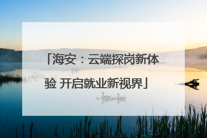 海安：云端探岗新体验 开启就业新视界