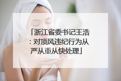 浙江省委书记王浩：对顶风违纪行为从严从重从快处理