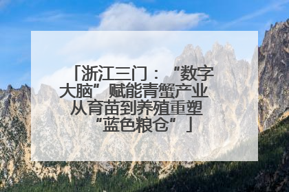 浙江三门：“数字大脑”赋能青蟹产业 从育苗到养殖重塑“蓝色粮仓”