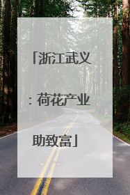 浙江武义：荷花产业助致富