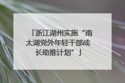 浙江湖州实施“南太湖党外年轻干部成长助推计划”