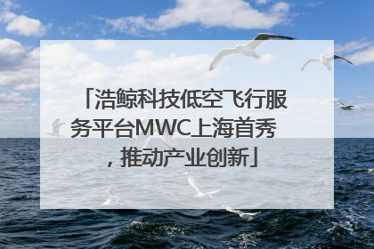 浩鲸科技低空飞行服务平台MWC上海首秀，推动产业创新