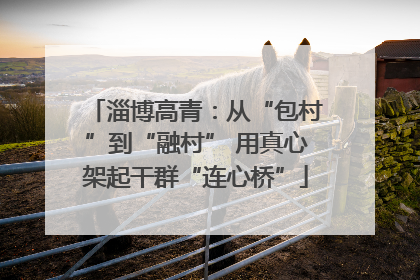 淄博高青：从“包村”到“融村” 用真心架起干群“连心桥”