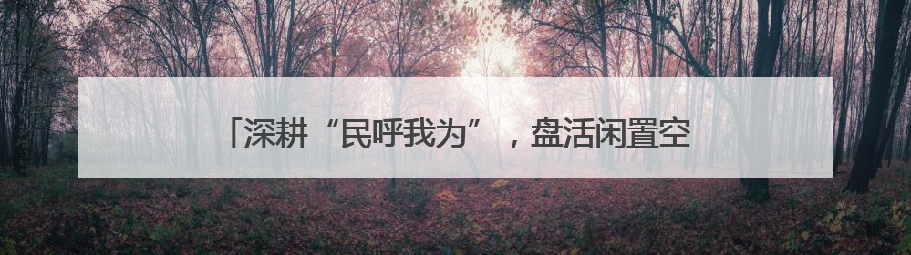 深耕“民呼我为”，盘活闲置空间，打造完整社区“翠苑模式”