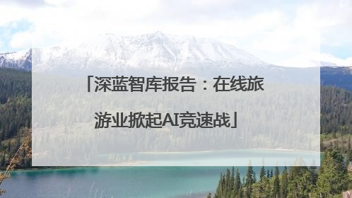 深蓝智库报告：在线旅游业掀起AI竞速战