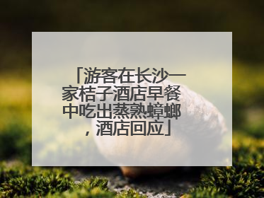 游客在长沙一家桔子酒店早餐中吃出蒸熟蟑螂，酒店回应