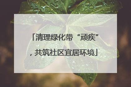 清理绿化带“顽疾”，共筑社区宜居环境