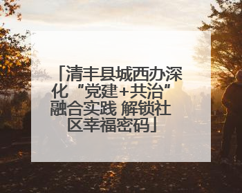 清丰县城西办深化“党建+共治”融合实践 解锁社区幸福密码