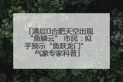 清晨﻿合肥天空出现“鱼鳞云” 市民：似乎预示“鱼跃龙门” 气象专家科普
