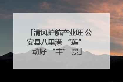 清风护航产业旺 公安县八里港 “莲” 动好 “丰” 景