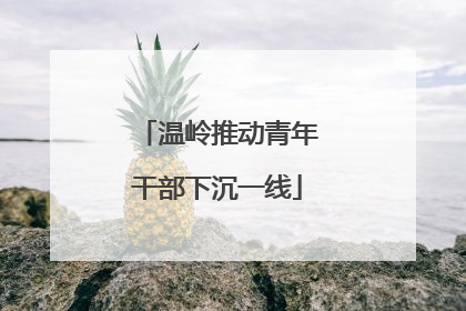温岭推动青年干部下沉一线