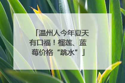 温州人今年夏天有口福！榴莲、蓝莓价格“跳水”