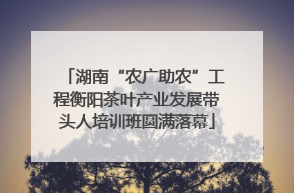 湖南“农广助农”工程衡阳茶叶产业发展带头人培训班圆满落幕