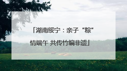 湖南绥宁：亲子“粽”情端午 共传竹编非遗