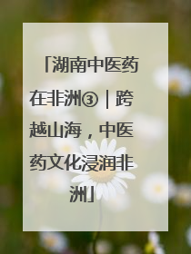 湖南中医药在非洲③｜跨越山海，中医药文化浸润非洲