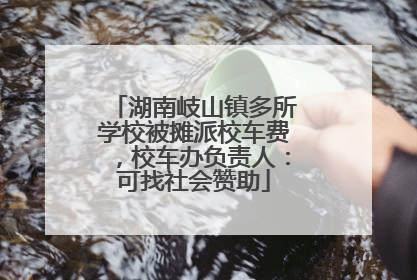 湖南岐山镇多所学校被摊派校车费，校车办负责人：可找社会赞助