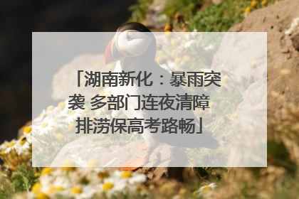 湖南新化：暴雨突袭 多部门连夜清障排涝保高考路畅