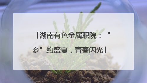 湖南有色金属职院：“乡”约盛夏，青春闪光
