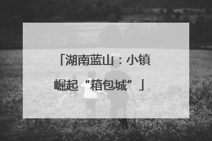 湖南蓝山：小镇崛起“箱包城”
