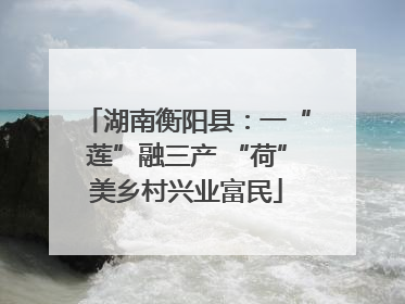 湖南衡阳县：一“莲”融三产 “荷”美乡村兴业富民