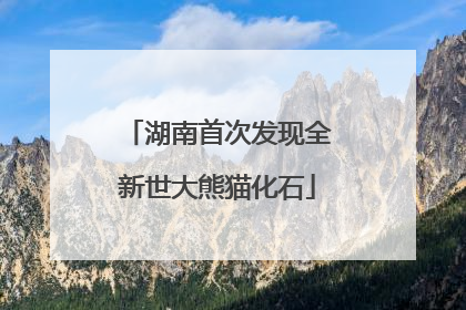 湖南首次发现全新世大熊猫化石