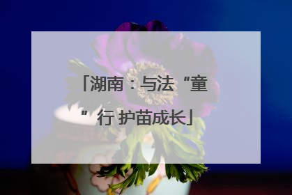 湖南：与法“童”行 护苗成长