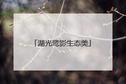 湖光鹭影生态美