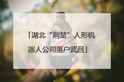 湖北“荆楚”人形机器人公司落户武昌