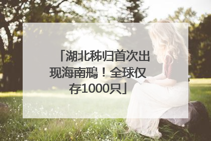湖北秭归首次出现海南鳽！全球仅存1000只