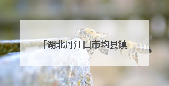 湖北丹江口市均县镇：爱心企业开展公益捐助推进乡村振兴
