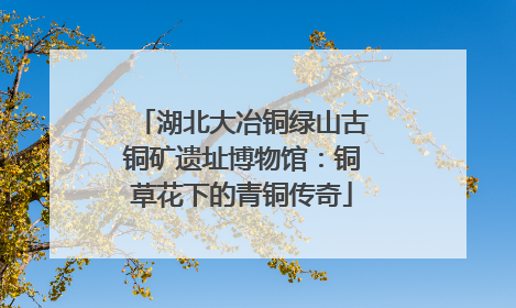 湖北大冶铜绿山古铜矿遗址博物馆：铜草花下的青铜传奇
